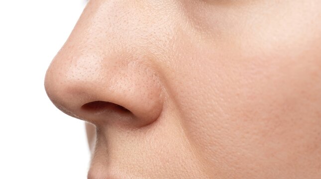 Close up profile view of human nose showing skin pores and smooth bridge