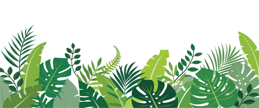 Tropical green foliage border vector with monstera, palm and exotic leaves isolated on white background