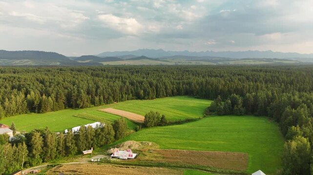 Aerial view of narrow farm fields and spruce forest with jagged mountain peaks on the horizon