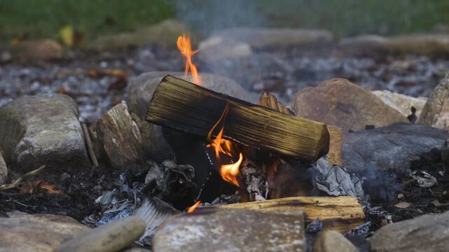 Closeup of split wood logs that are charred and burning in a small campfire.