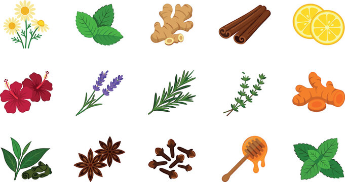Herbal tea ingredients vector icon set featuring chamomile mint ginger cinnamon lemon hibiscus lavender rosemary thyme turmeric anise clove and honey.