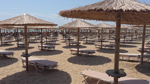 Numerous thatched roof umbrellas stand over empty sunbeds arranged in rows on a sandy resort beach
