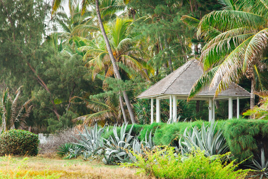 Paysage d'une cabane sous les palmiers. Ambiance tropicale. Lieu de vacances paradisiaque. Petit abri sous les arbres