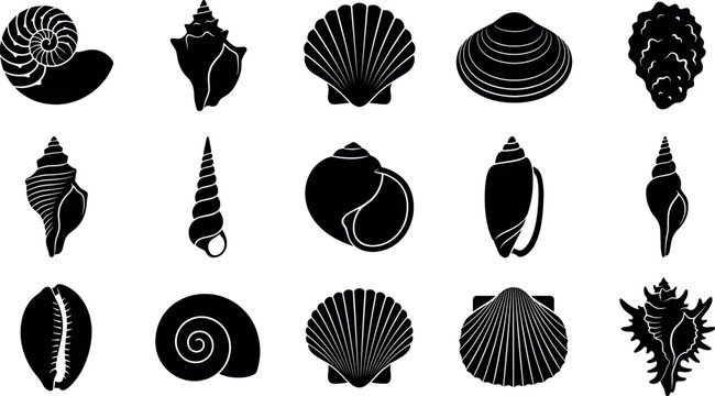 Ocean seashell and marine mollusk silhouette vector icon set featuring scallop clam conch nautilus and starfish shapes for beach decor.