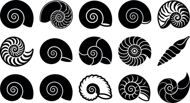 Seashell and nautilus spiral shell silhouette vector icon set featuring ammonite snail fossil and marine conch shapes isolated on white background.