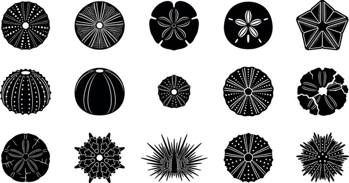 Sea urchin shell and sand dollar marine skeleton vector silhouette icon set for ocean life and beach decor designs.
