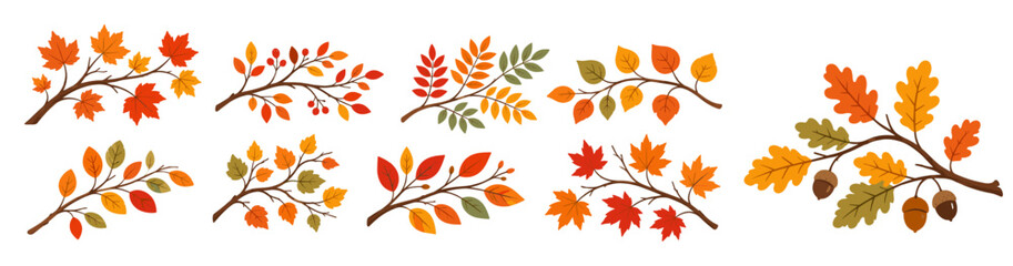 Fall leaf branch cartoon illustration with autumn foliage, colorful botanical plant, seasonal nature twig, flat vector design on white background © aura studio