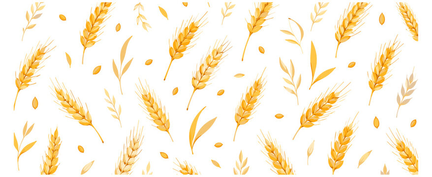 Hand drawn wheat seamless pattern with ears of wheat, whole grain, organic bakery background, bread package and harvest vector illustration