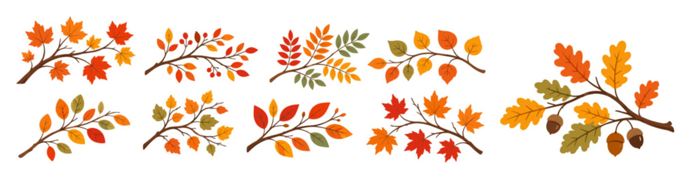 Fall leaf branch cartoon illustration with autumn foliage, colorful botanical plant, seasonal nature twig, flat vector design on white background