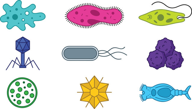 Microbiology Vector Icon Set Featuring Bacteria Virus Amoeba Paramecium Euglena Bacteriophage Cells and Microscopic Organisms for Science Education and Medical Designs