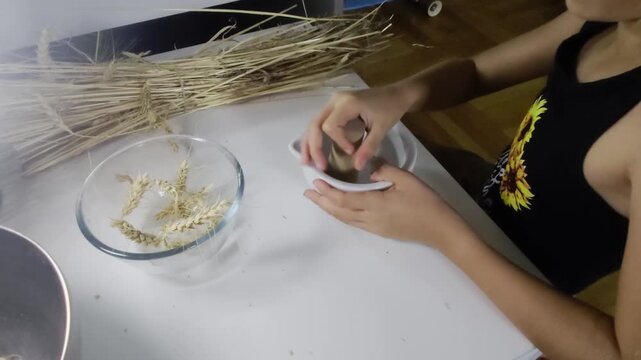 A high-angle medium shot shows a child holding a ceramic mortar and grinding wheat grains with a pestle alongside raw wheat bundles on a white desk during a 3rd grade Waldorf school farming lesson.