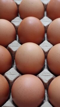 Fresh organic brown chicken eggs in cardboard tray