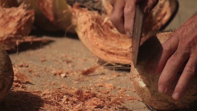 Close up footage of worker hands using a cleaver knife to scrape fibrous husk off a coconut