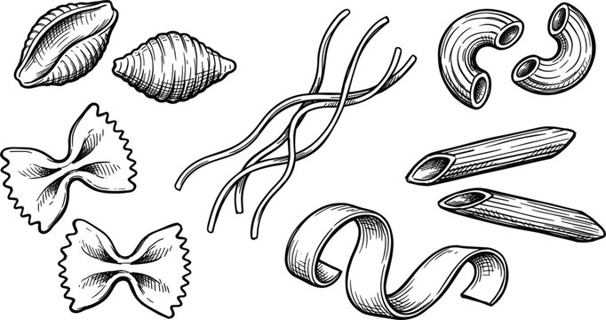 Traditional Italian pasta varieties hand drawn sketch set including farfalle penne macaroni fusilli fettuccine and conchiglie
