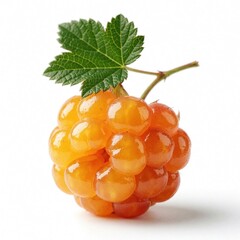 Obraz premium Fresh orange cloudberry fruit with green leaf on white background. Ripe wild berry looks juicy, delicious. Healthy organic summer food for dessert healthy snack. Natural vitamin rich berry from