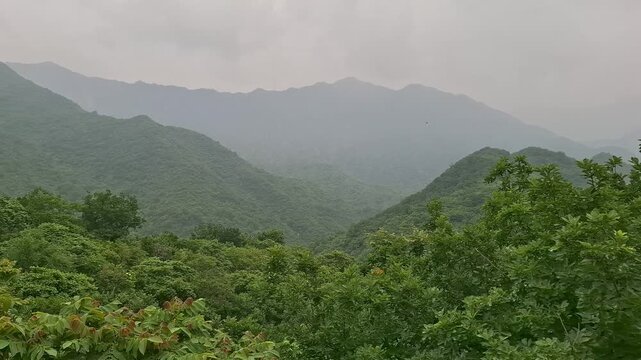 Green mountain valley covered by trees under a hazy sky, scenic wilderness, travel, nature, and outdoor exploration. China