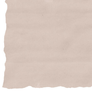Textured Torn Note Paper