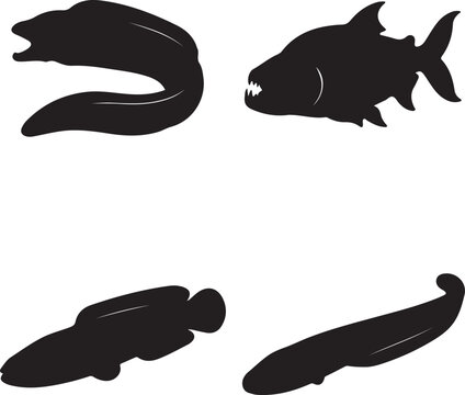 Eel and prehistoric fish silhouettes display various aquatic predator shapes in flat black.