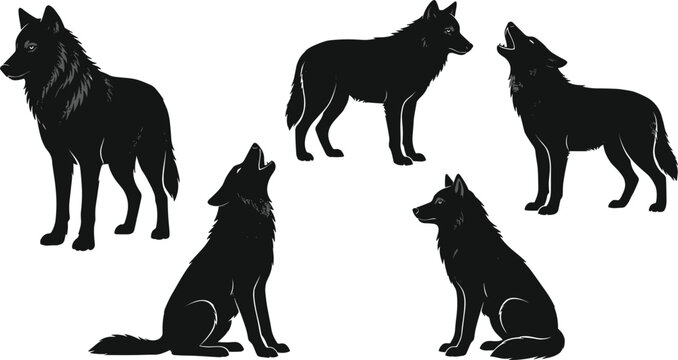 Black wolf silhouette set featuring wild predators standing howling and sitting isolated on white background vector elements
