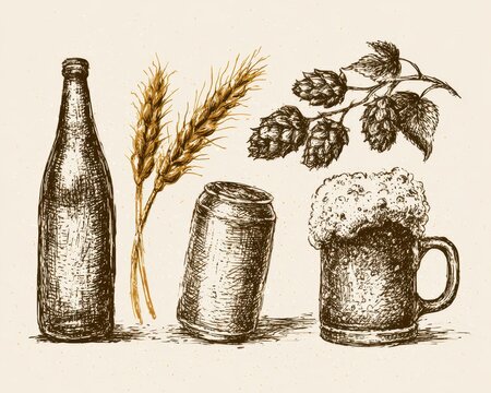 Beer brewing ingredients and drink set, hand drawn sketch style illustration with beer bottle, wheat ears, hop branch, aluminum can and mug of beer with foam