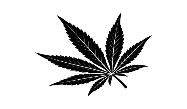 Stylized cannabis marijuana leaf monochrome isolated vector illustration