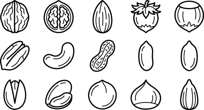 Edible Nut and Healthy Snack Icon Set Featuring Walnuts, Almonds, Hazelnuts, Cashews, Peanuts, Pistachios, Macadamias, and Chestnuts Outline Vector Graphic Design Symbols