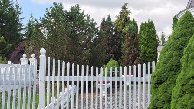 Slightly elevated view of curved paved walkway through dense evergreen garden, with clipped shrubs, mulch edges, blue hose, and small pink flowers creating serene residential landscape