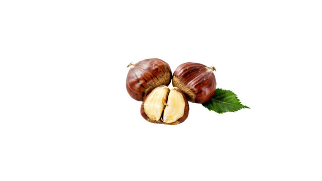 Fresh brown chestnuts featuring one sliced open piece alongside a vibrant green leaf captured in sharp high resolution detail for culinary projects on transparent background