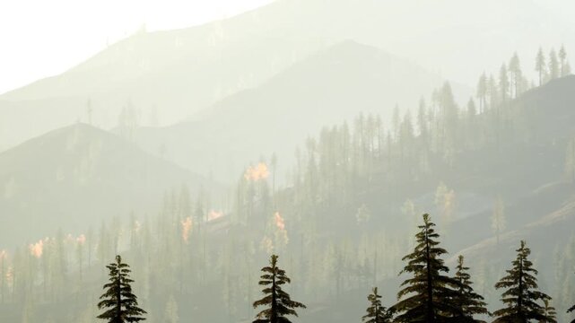 In the early morning, mountains are visible with a mist covering the tree tops. Some trees show hints of fall colors while others remain green. The light creates a soft glow on the landscape.