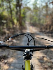 Fototapeta premium BMX downhill bicycle handlebar viewed from a rider's perspective on a rugged tropical teak forest trail during a sunny outdoor adventure.