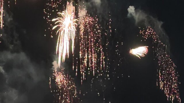 Golden willow firework trails cascading in night sky