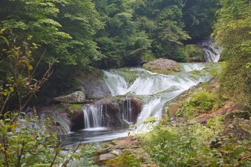 奥蓼科・御射鹿池の先にある森の滝 © TAKE