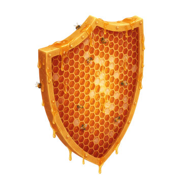 Protective Shield Made of Honeycomb with Dripping Honey