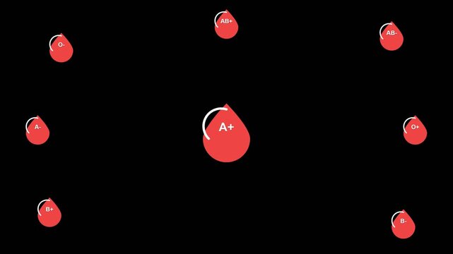 Animated Red Blood Cell Formation and Circulation Loop.
