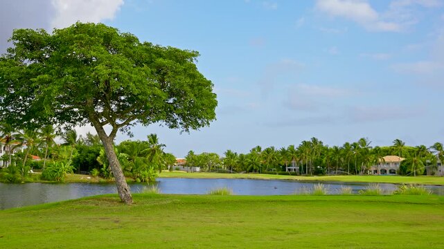 Beautiful golf club grounds with a vibrant green seating area and a lake surrounded by palm trees. Summer tropical landscape with vegetation and a tranquil reflective pond.