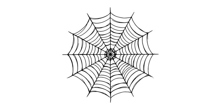 Intricate hand-drawn black spider web with radial symmetry