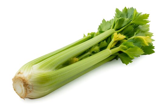 Fresh green celery stalk with leaves on a surface