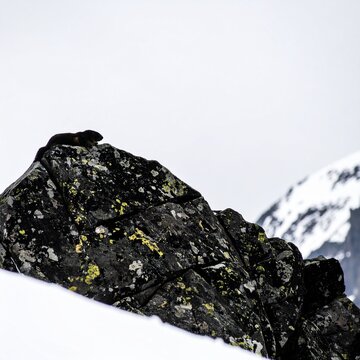 Snowy mountain peak with rocky outcrop and alpine landscape.