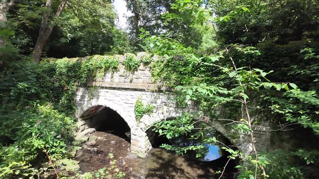 Small Stone Bridge and Woodland Stream in Jesmond Dene Park, Newcastle upon Tyne