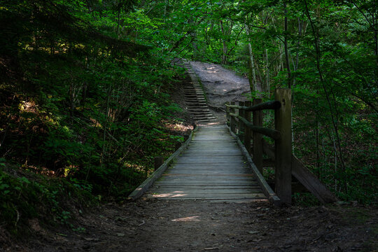 Wooden Footbridge Leads to a Steep Staircase on a Forest Trail