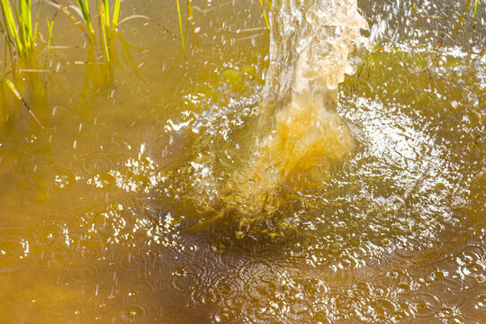 Dynamic splash created by a heavy stone hitting the murky water surface, capturing the moment of impact with energetic droplets and concentric ripples expanding across the pond