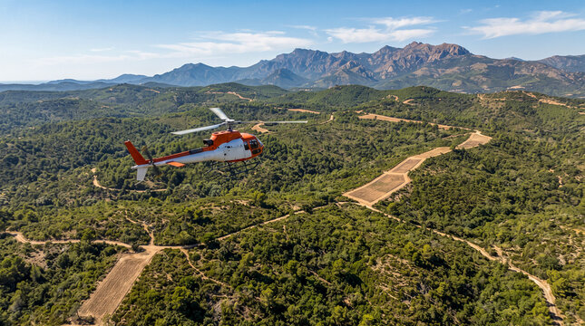 Helic&oacute;ptero sobrevolando un bosque mediterr&aacute;neo para vigilar y prevenir incendios forestales, mostrando gesti&oacute;n y protecci&oacute;n del territorio.