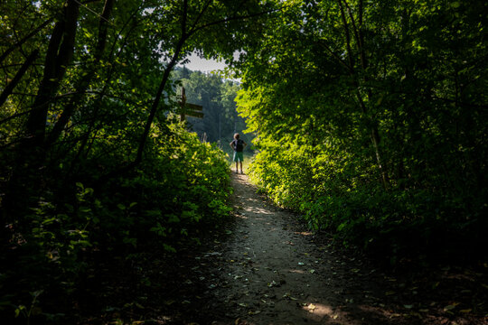 Lone Hiker Pauses on a Sunlit Forest Trail Near a Signpost