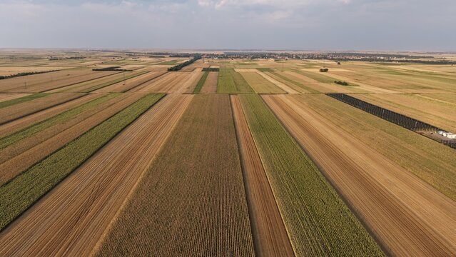 Aerial view of vast agricultural fields with rows of crops stretching across the flat landscape under a clear sky in Crepaja, Vojvodina, Serbia.