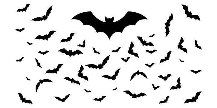 Black bat silhouettes flying against white background, wings spread night