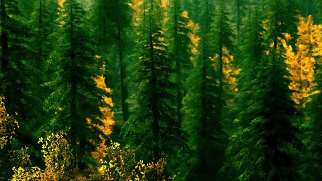 Trees in a forest show different shades of green and patches of yellow as autumn arrives. Leaves change color, marking the seasonal shift in this natural setting.