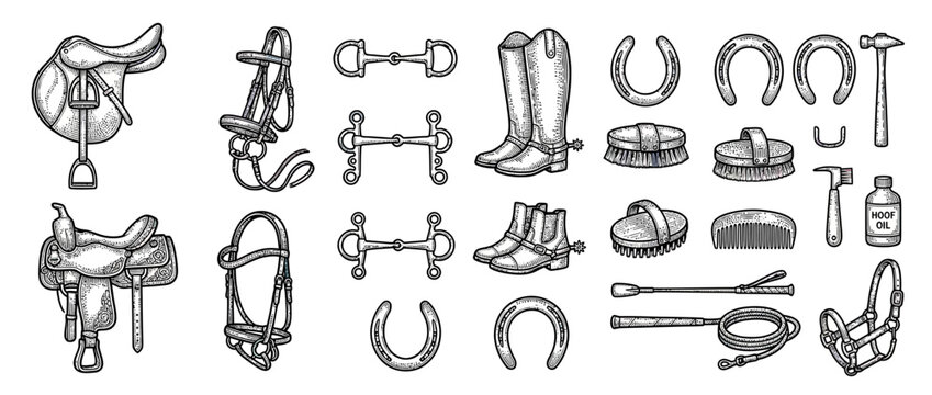 Equestrian Gear and Tack Collection Isolated