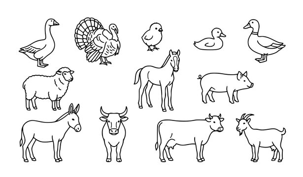 Minimal farm animal outline icon collection with poultry livestock horse pig donkey and ox