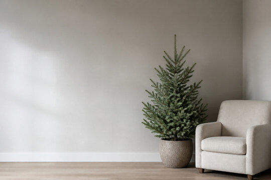A bare corner of a room with a small undecorated potted fir standing