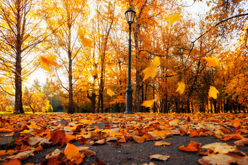 Autumn city landscape - autumn trees in sunny October park, metal lantern on the background of park trees with orange leaves and swirling leaves slowly falling to the ground © syntheticmessiah